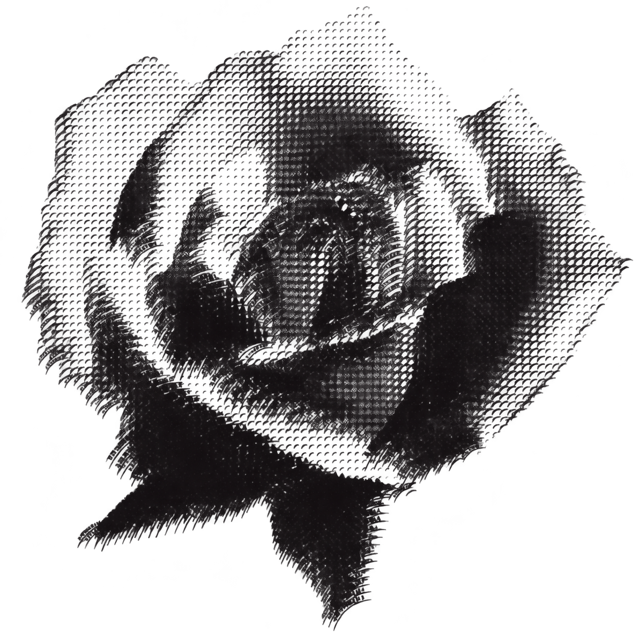 Halftone rose representing the ongoing Meta Rose body of work