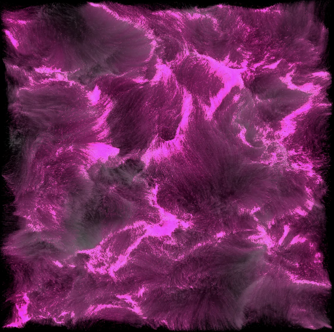 Meta Rose, Real-time visual state