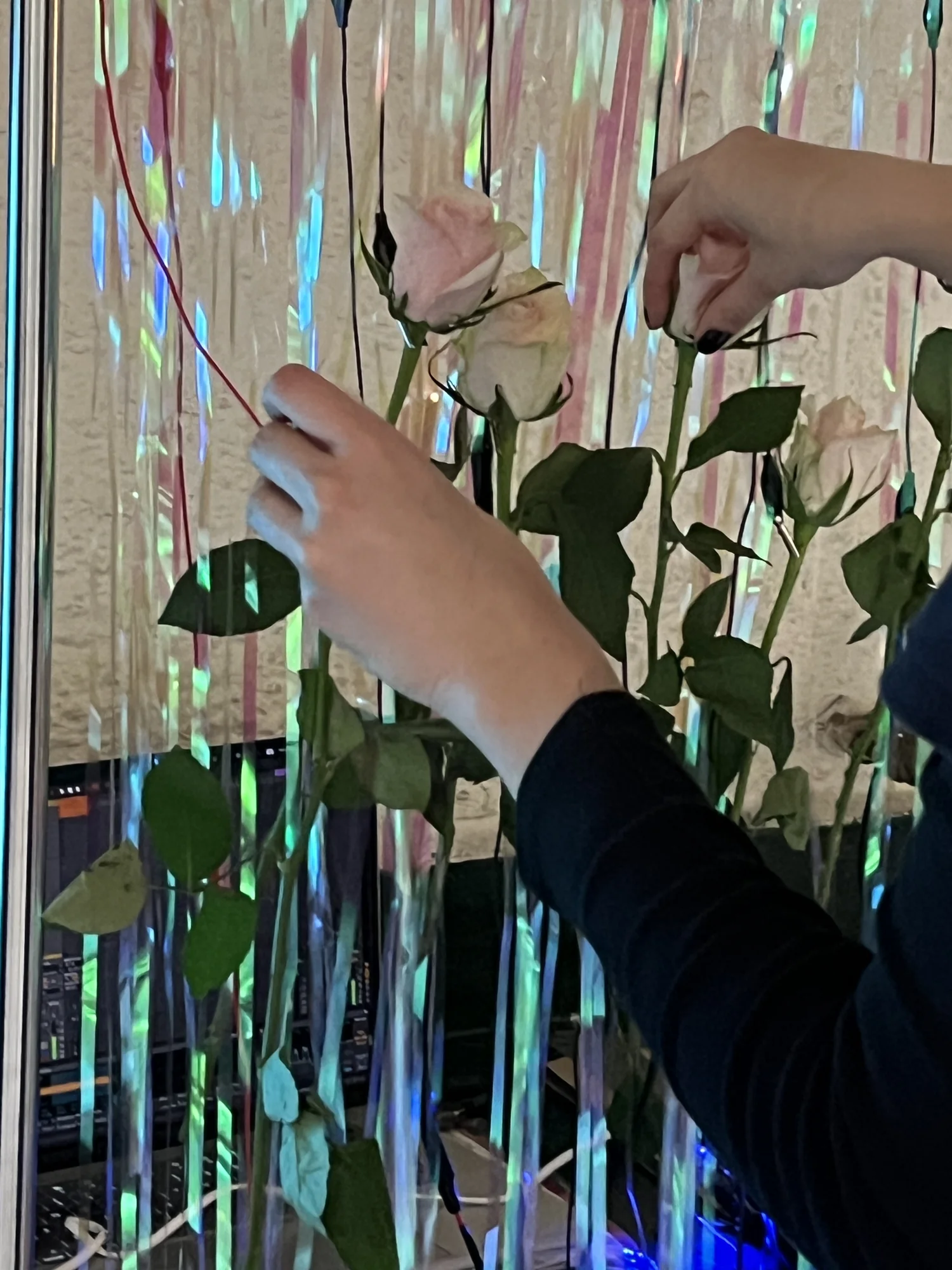 Bugskin Chapter 2, Installation documentation