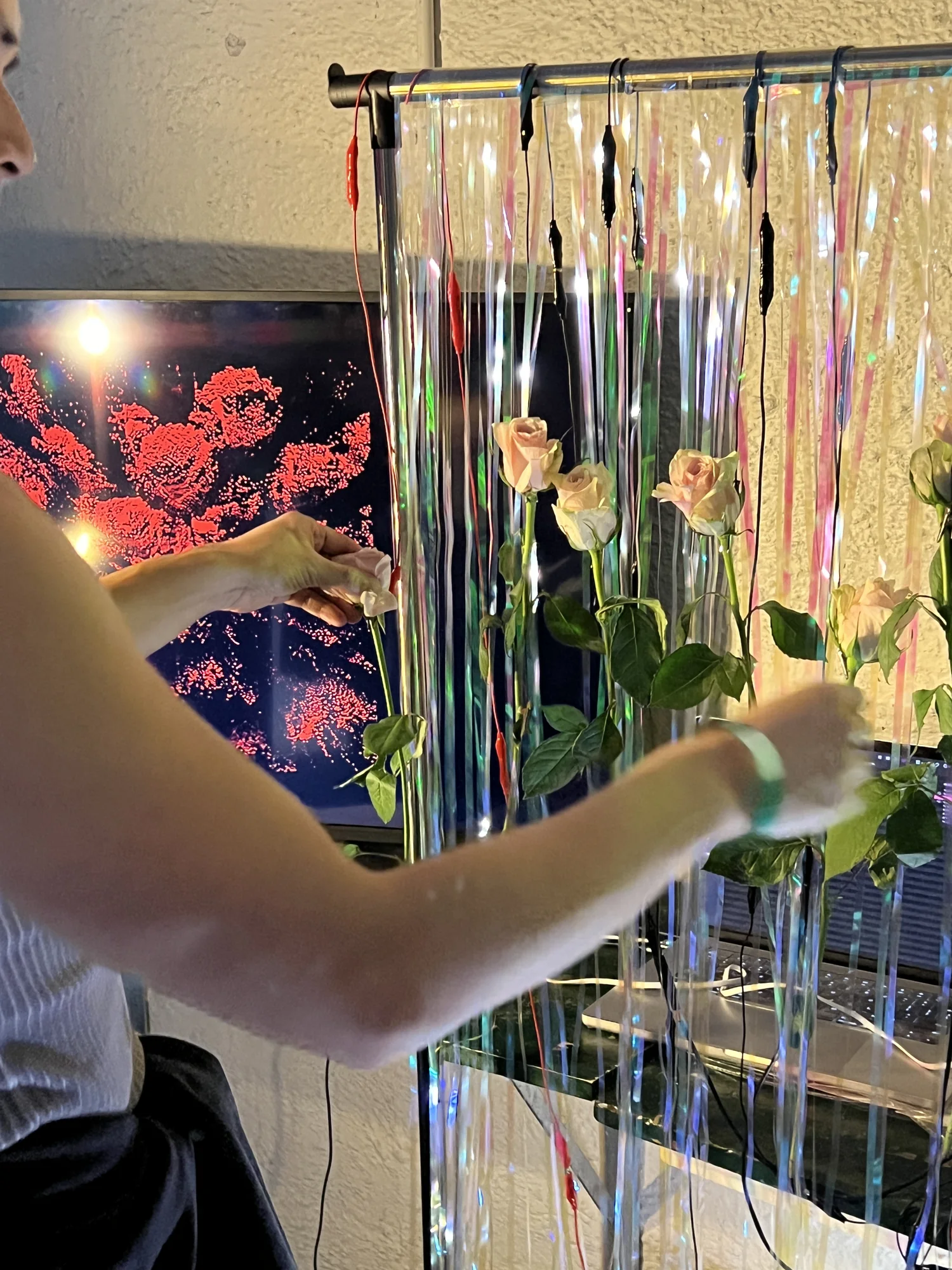 Bugskin Chapter 2, Installation documentation