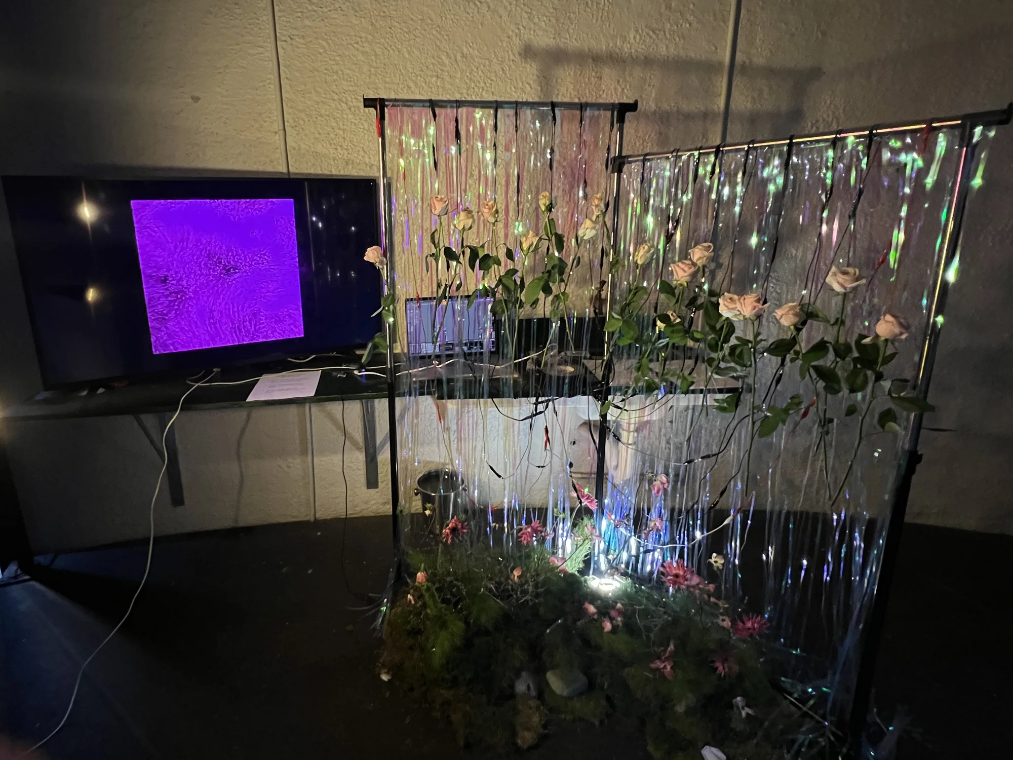 Bugskin Chapter 2, Installation documentation