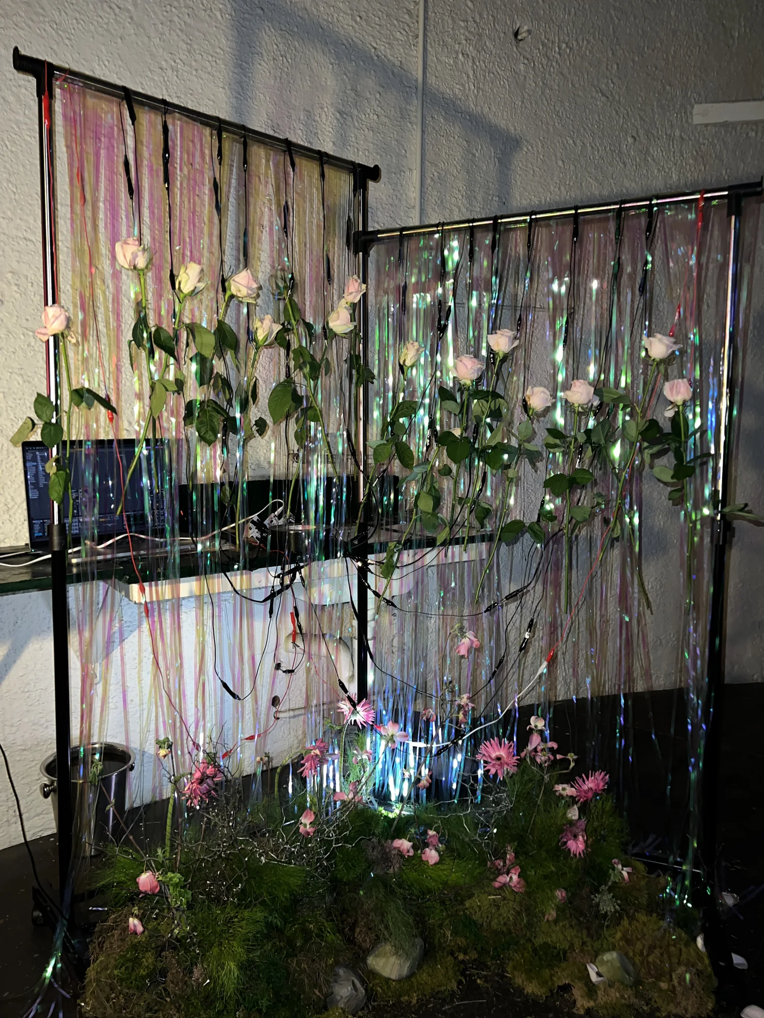 Bugskin Chapter 2 — Installation view
