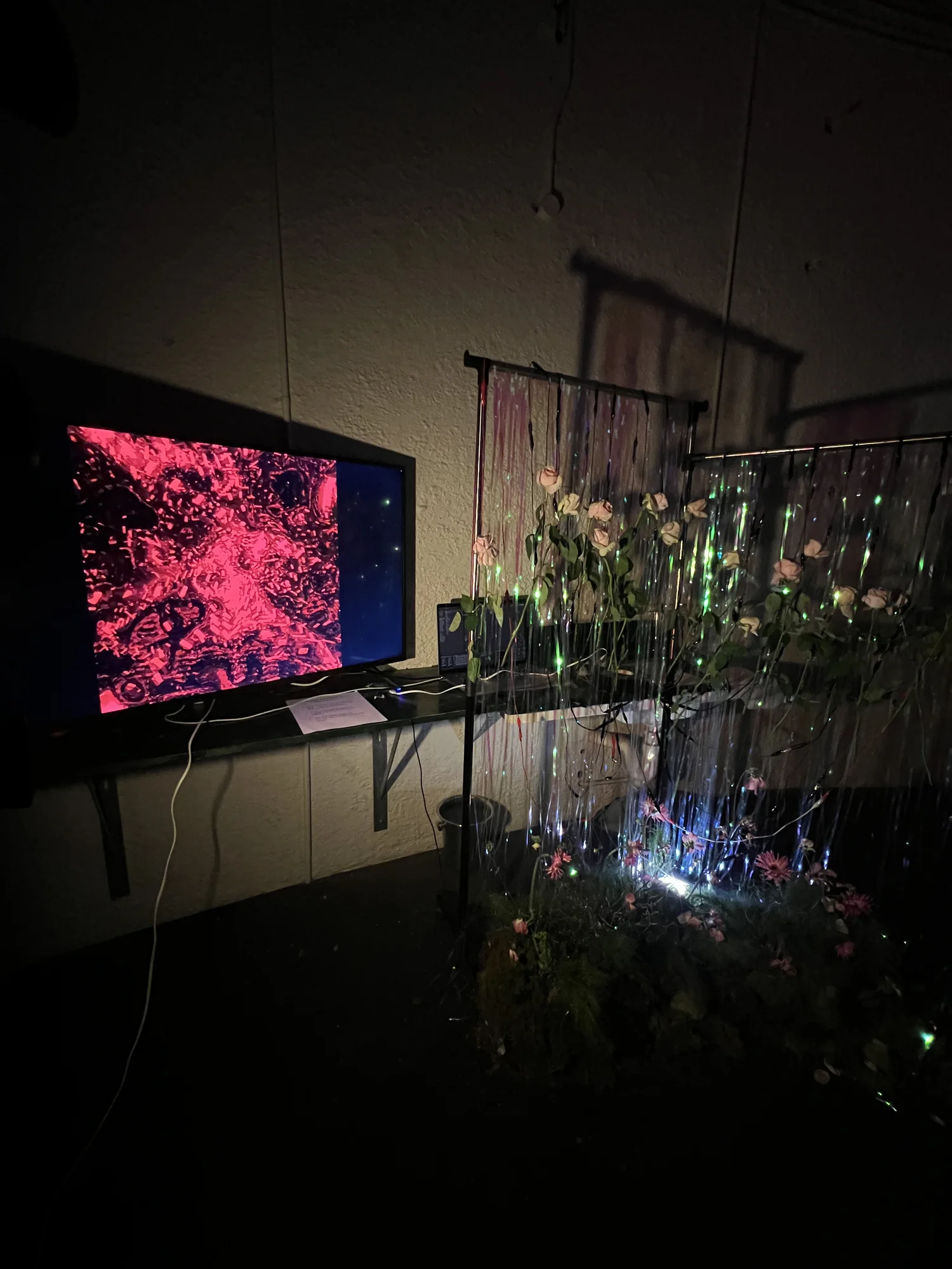 Bugskin Chapter 2, Installation documentation