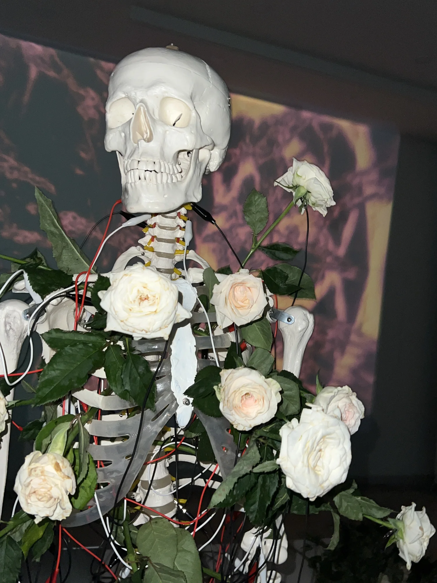 Meta Rose: The Funeral, Installation documentation