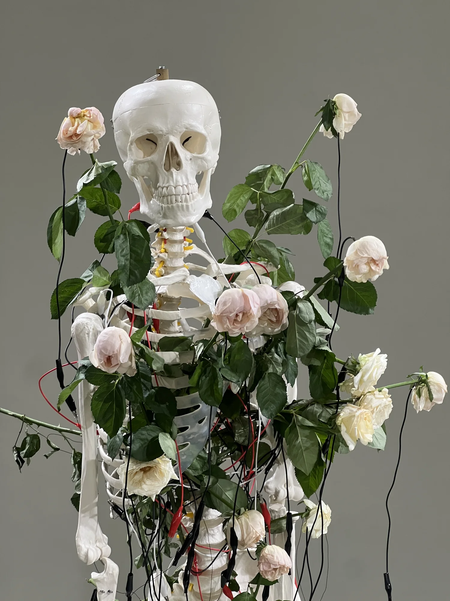 Meta Rose: The Funeral, Installation documentation