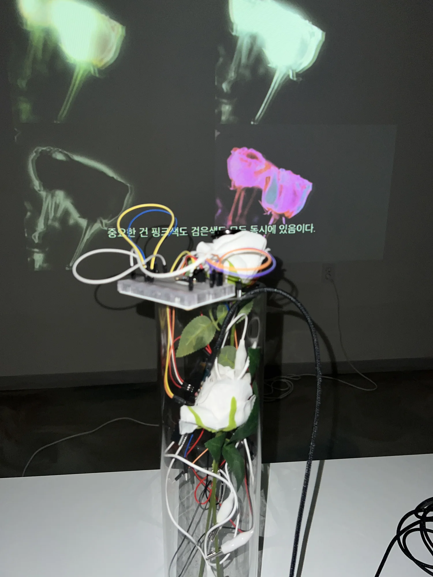 Meta Rose: The Funeral, Installation documentation