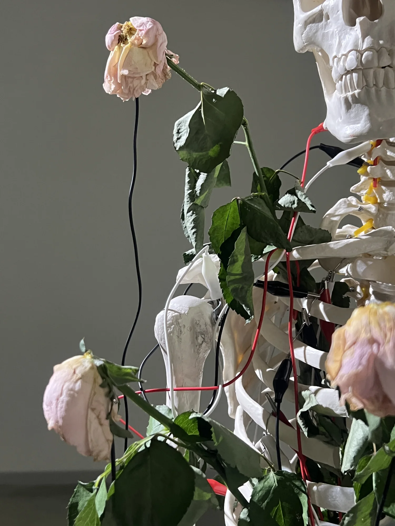 Meta Rose: The Funeral, Installation documentation