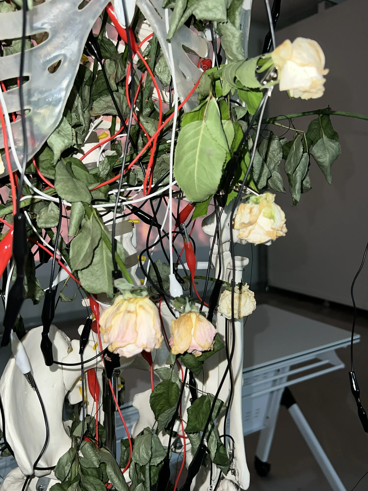Meta Rose: The Funeral, Installation documentation