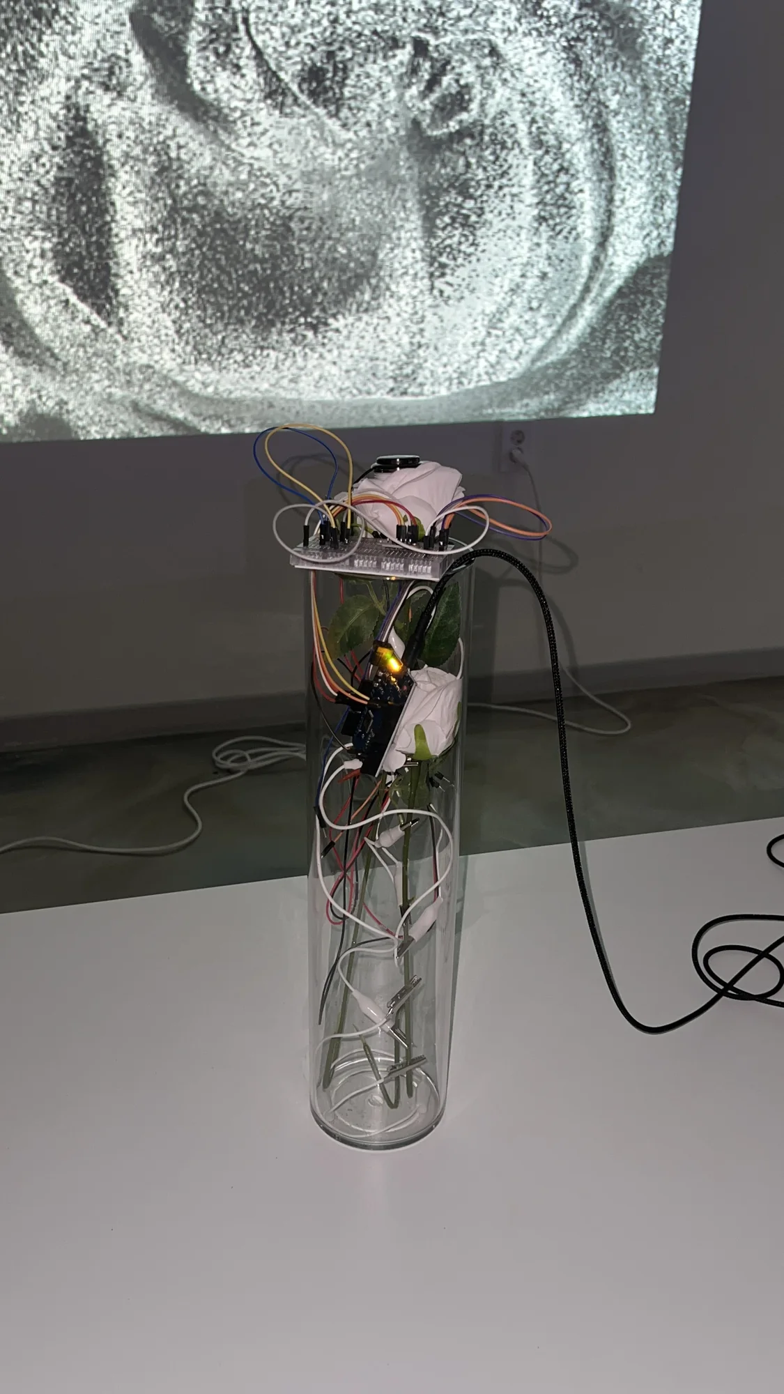 Meta Rose: The Funeral, Installation documentation