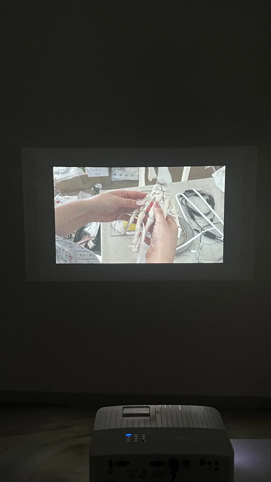 Meta Rose: The Funeral, Installation documentation
