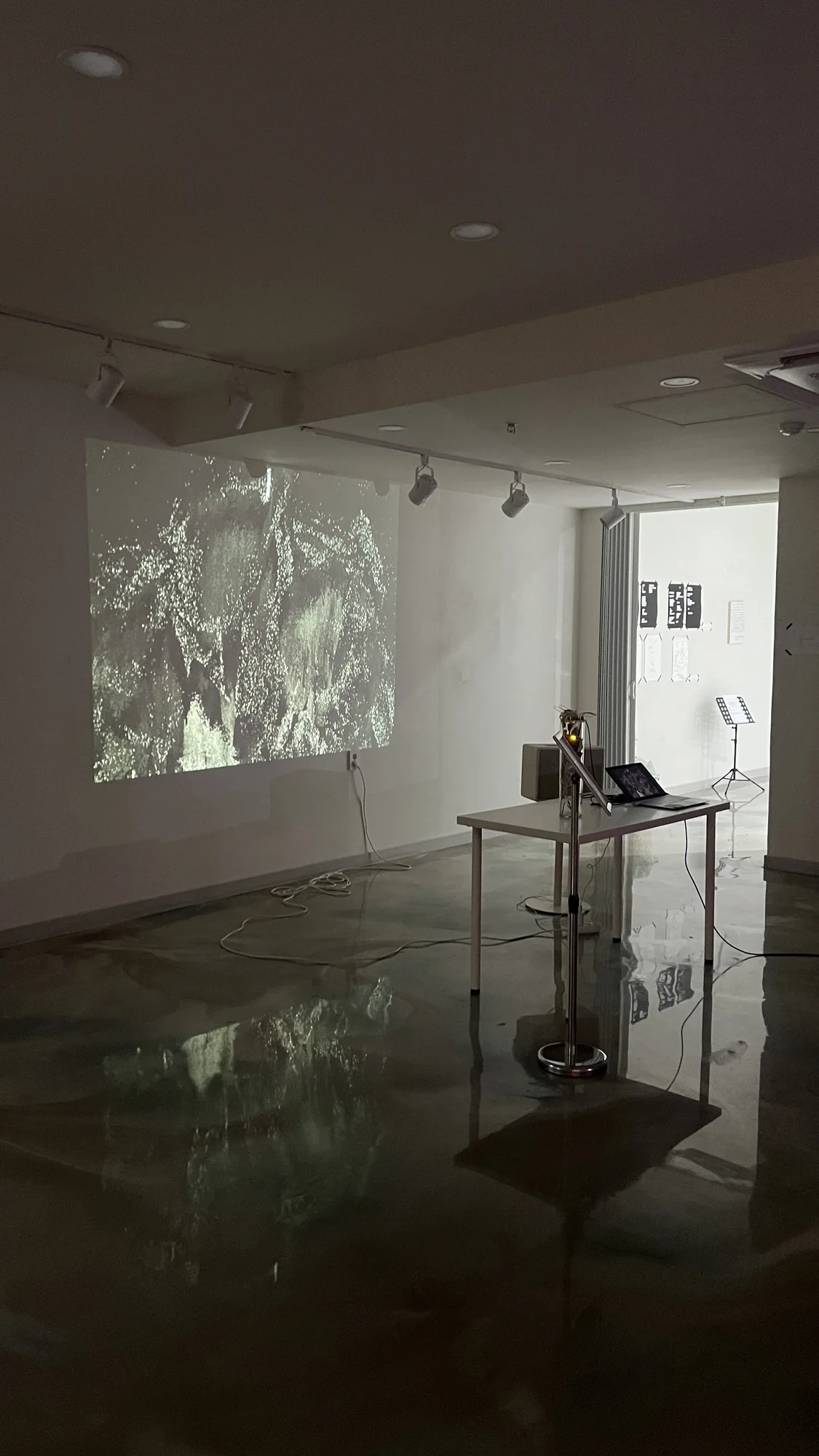Meta Rose: The Funeral, Installation documentation