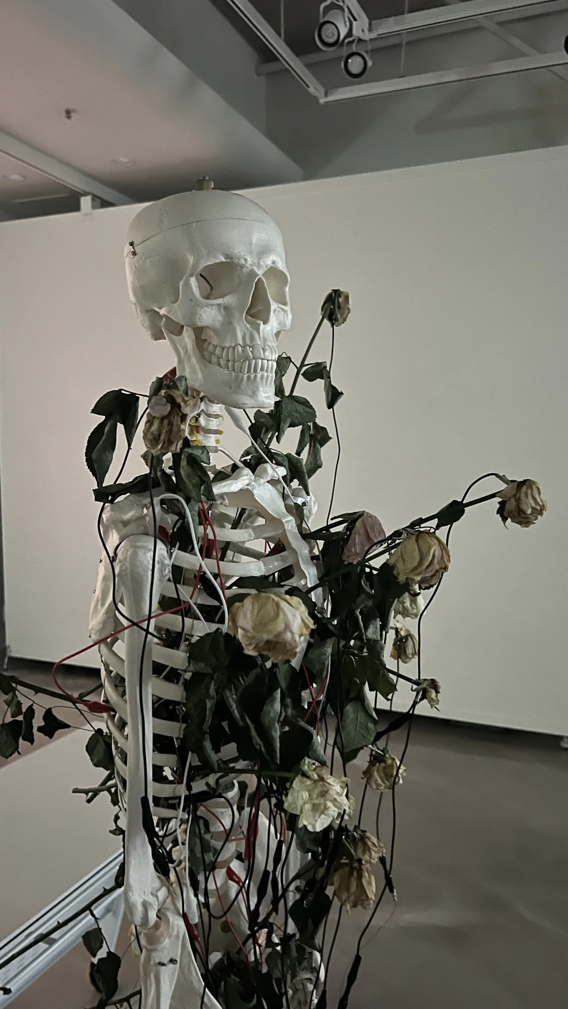 Meta Rose: The Funeral, Installation documentation
