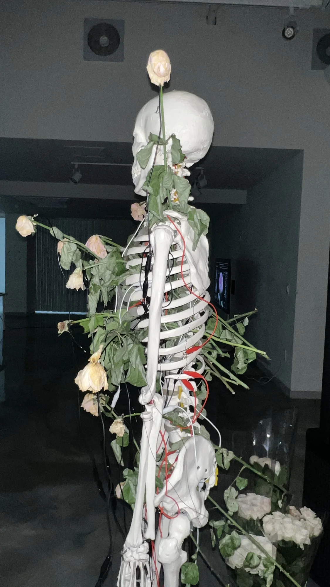 Meta Rose: The Funeral, Installation documentation