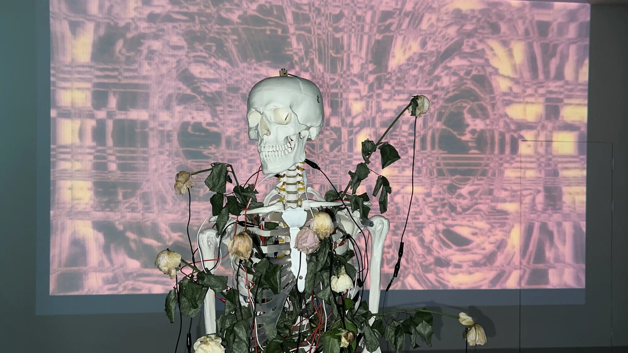Meta Rose: The Funeral — Installation view