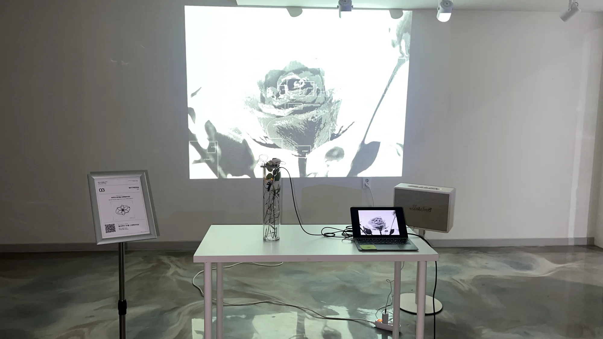Meta Rose: The Funeral, Installation documentation