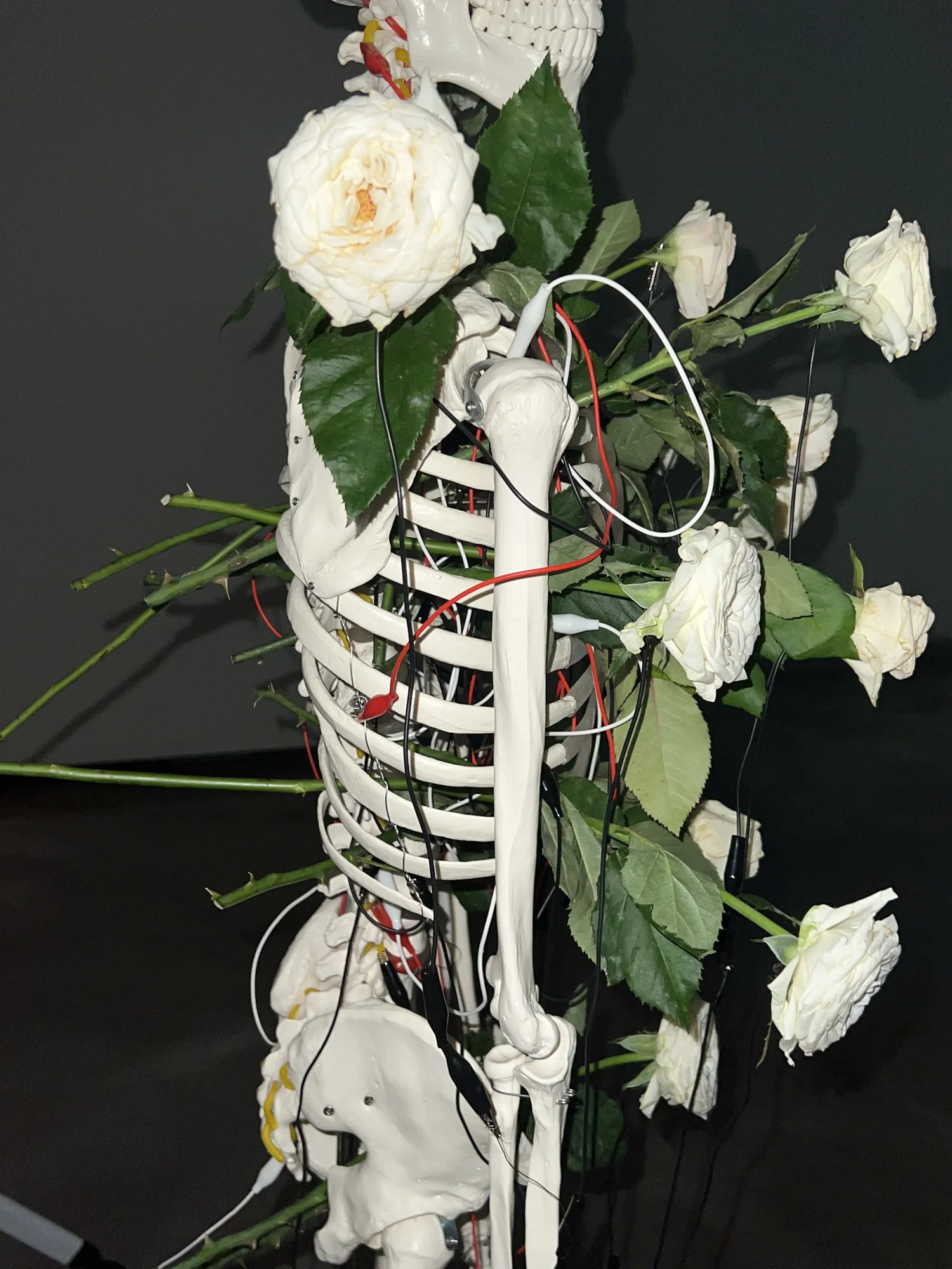 Meta Rose: The Funeral, Installation documentation