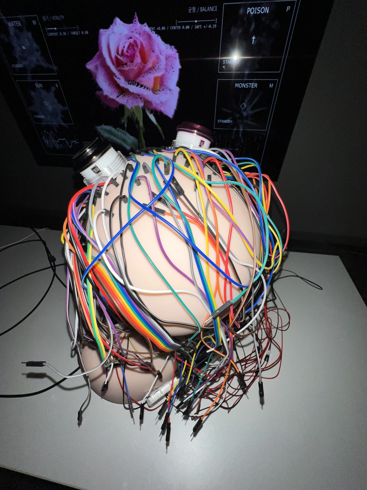 Meta Rose: The Funeral, Installation documentation