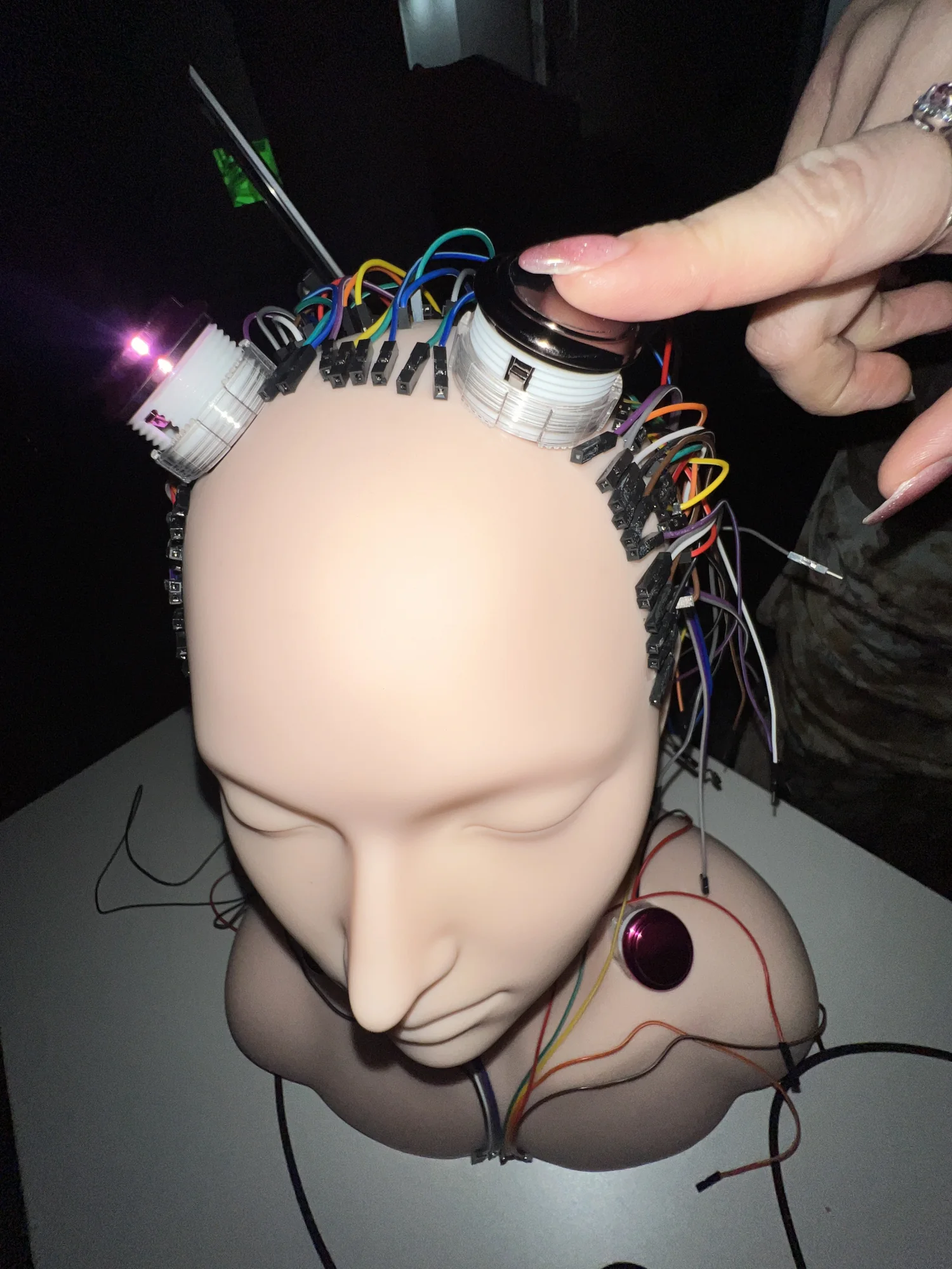 Meta Rose: The Funeral, Installation documentation