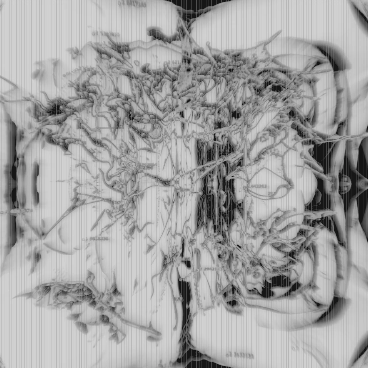 Meta Rose: The Funeral, Real-time visual state