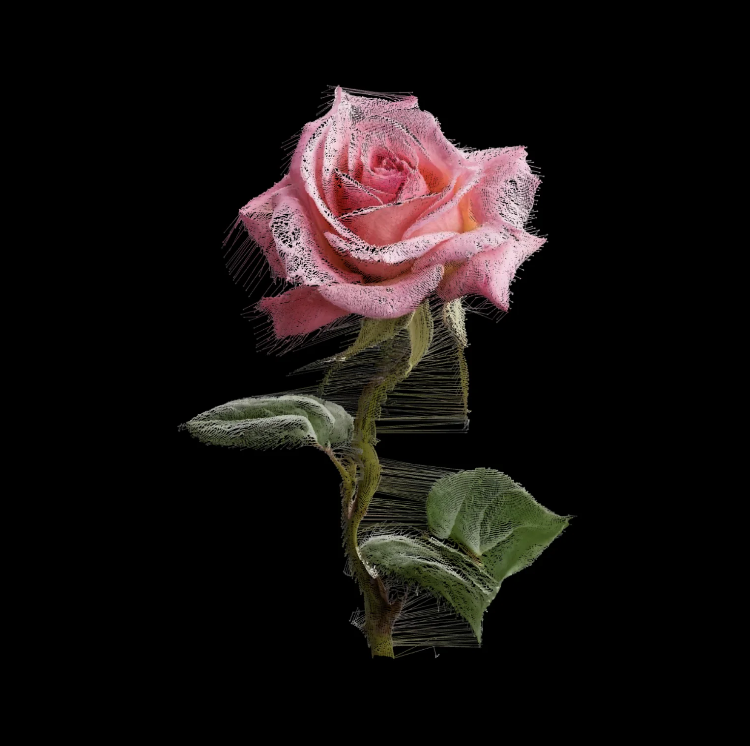 Meta Rose: The Funeral, Real-time visual state