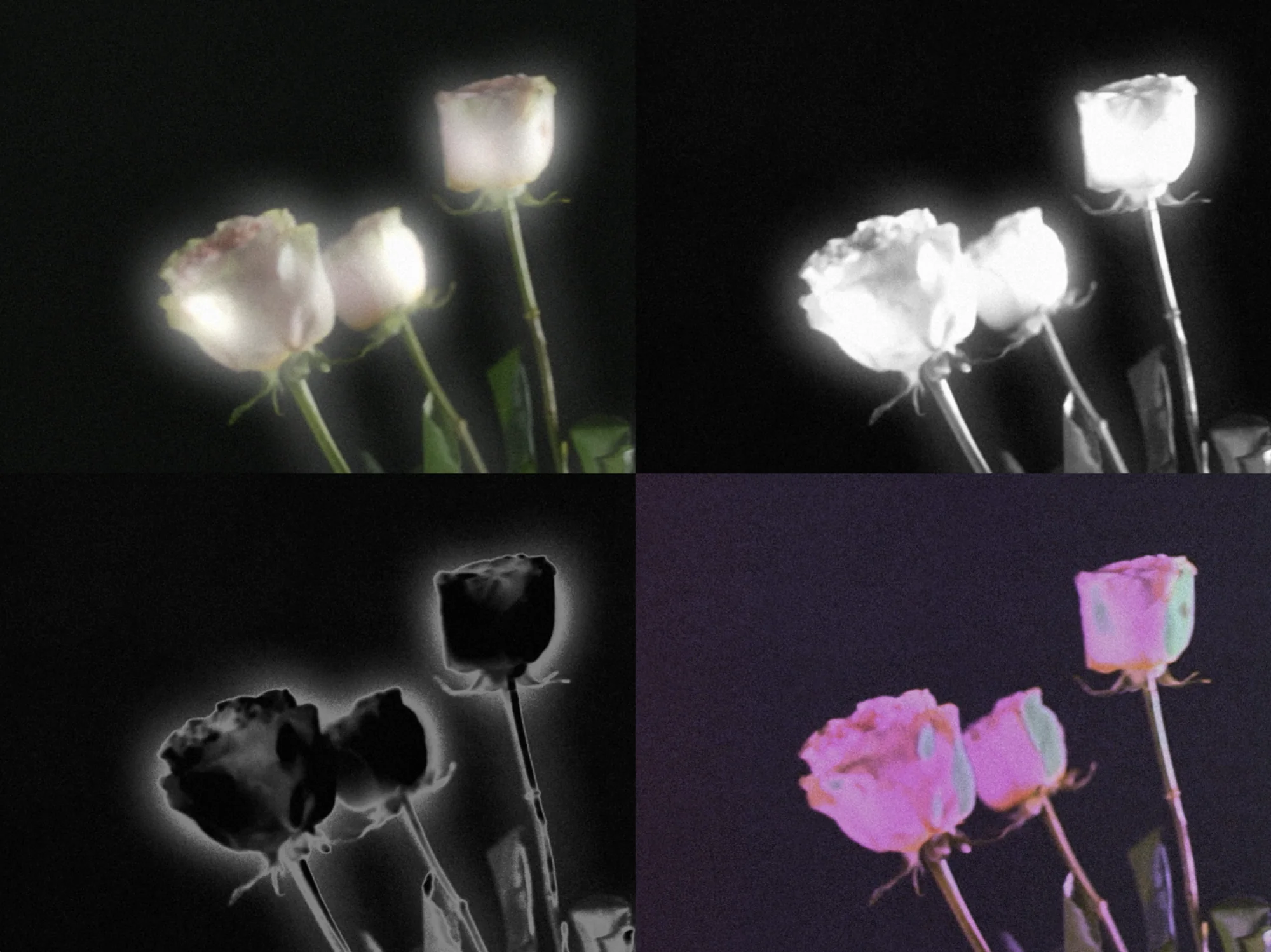 Meta Rose: The Funeral, Real-time visual state