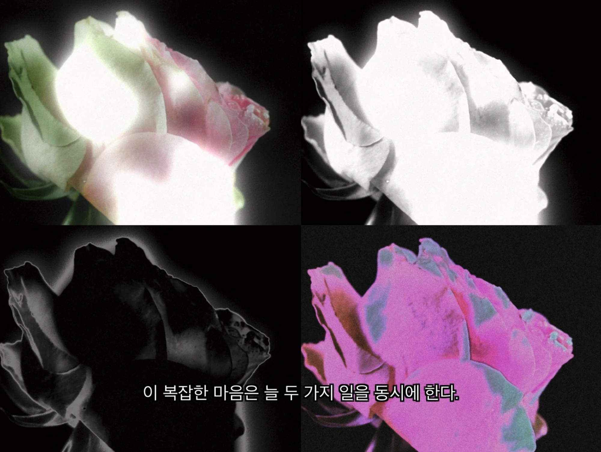 Meta Rose: The Funeral, Real-time visual state