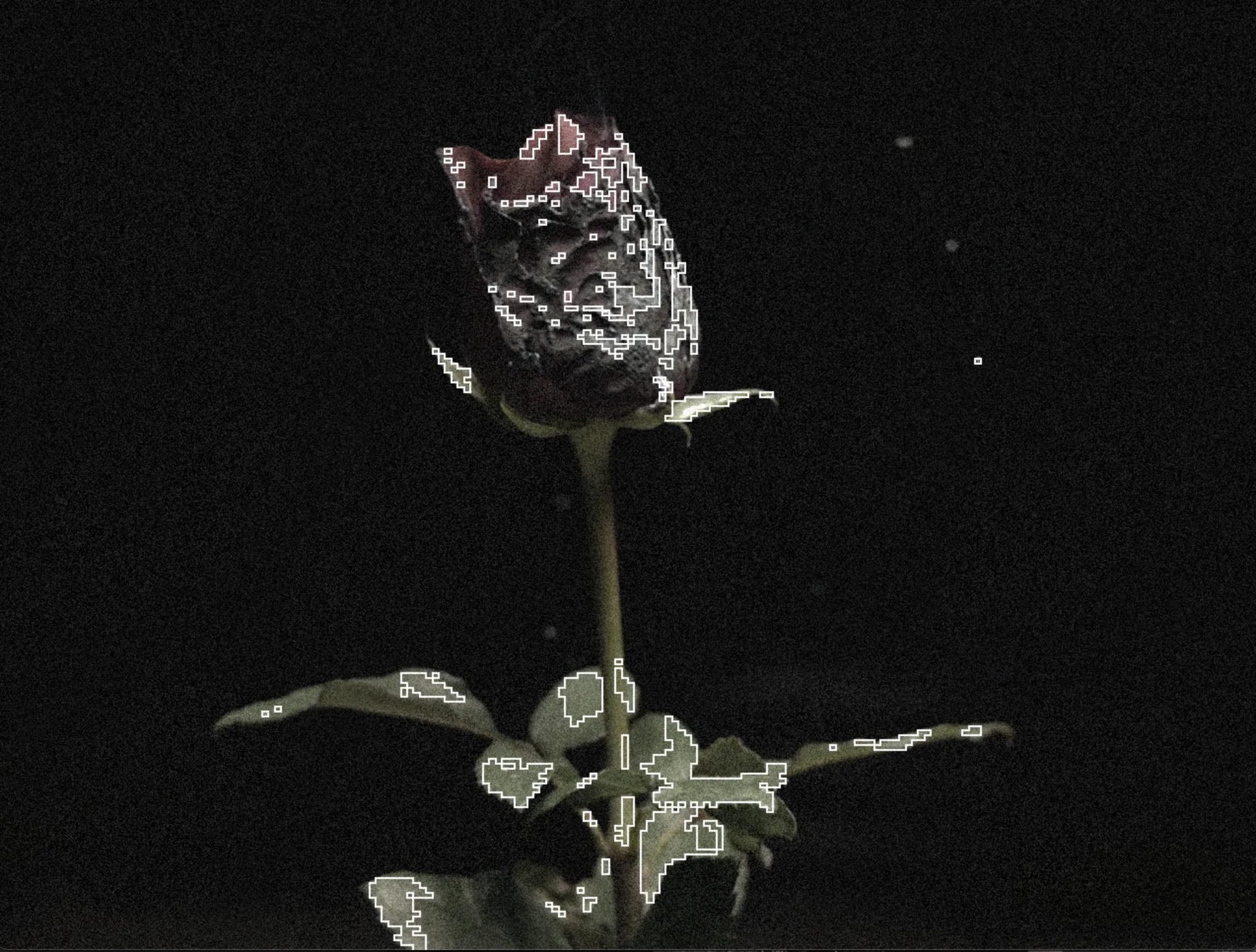 Meta Rose: The Funeral, Real-time visual state