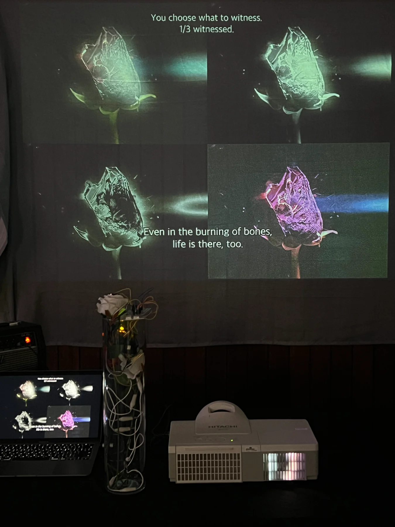 Projected image with a hand-sensitive control interface in the Melbourne installation, October 2026.