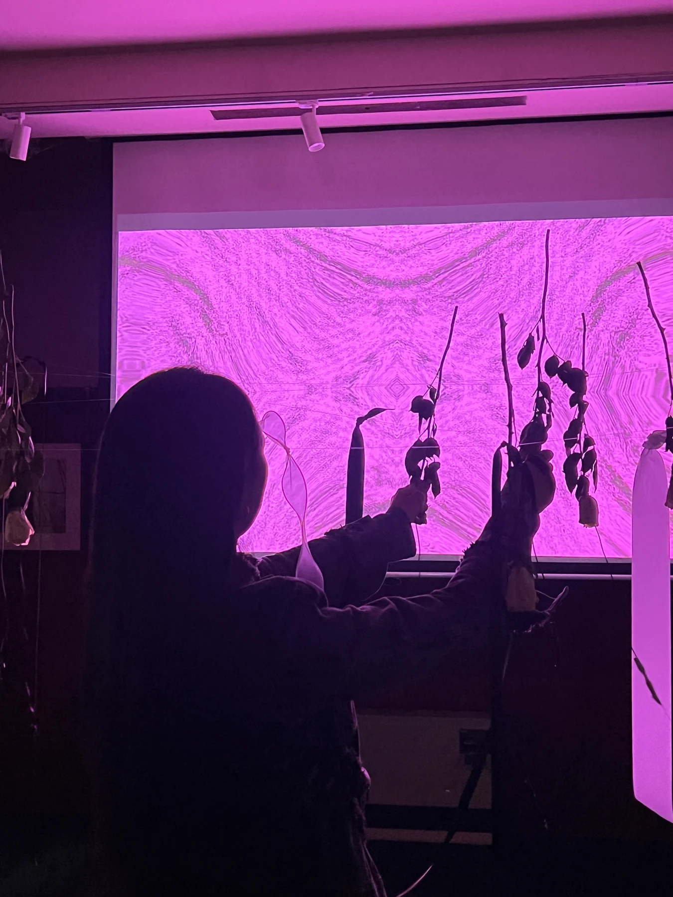 Touching hanging roses within The Meta Rose: Shared Resonance, Melbourne Fringe Festival, October 2026.