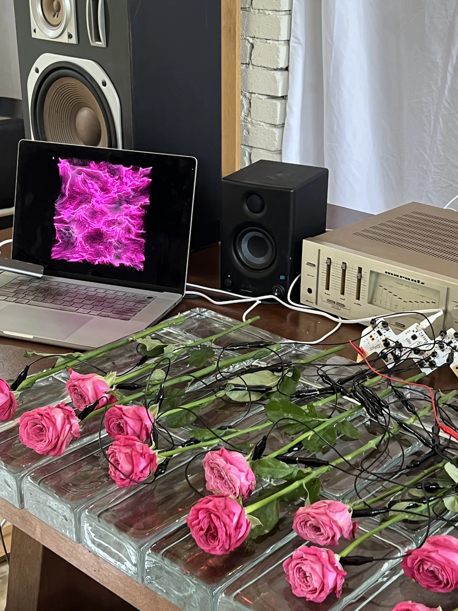 Meta Rose: Mugonggan, Installation documentation