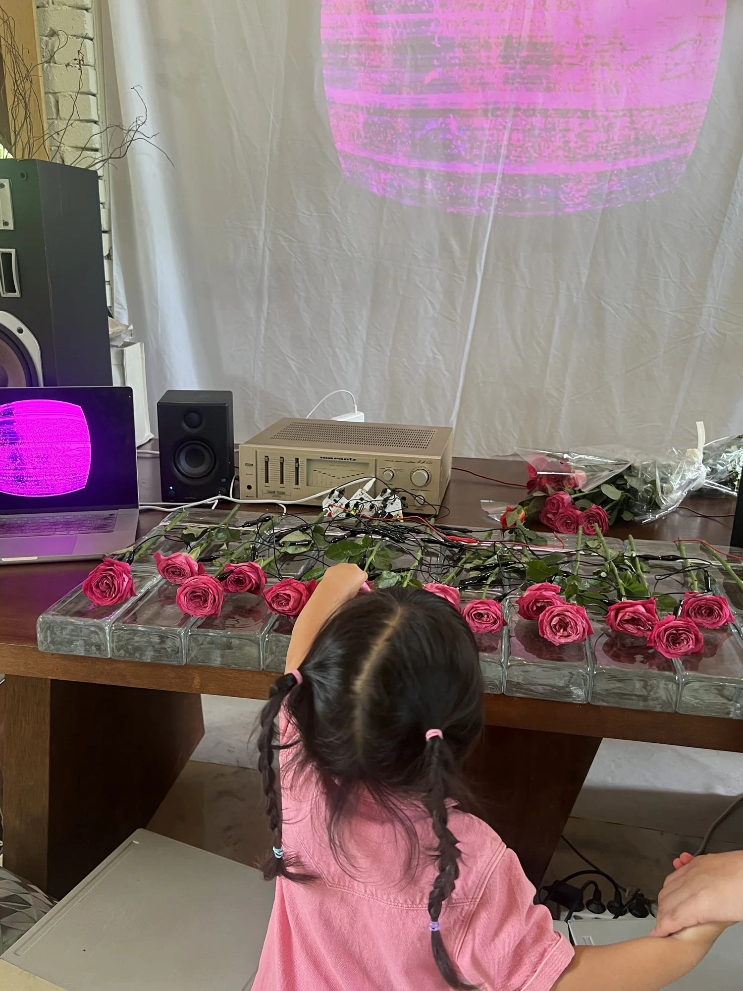 Meta Rose: Mugonggan, Installation documentation