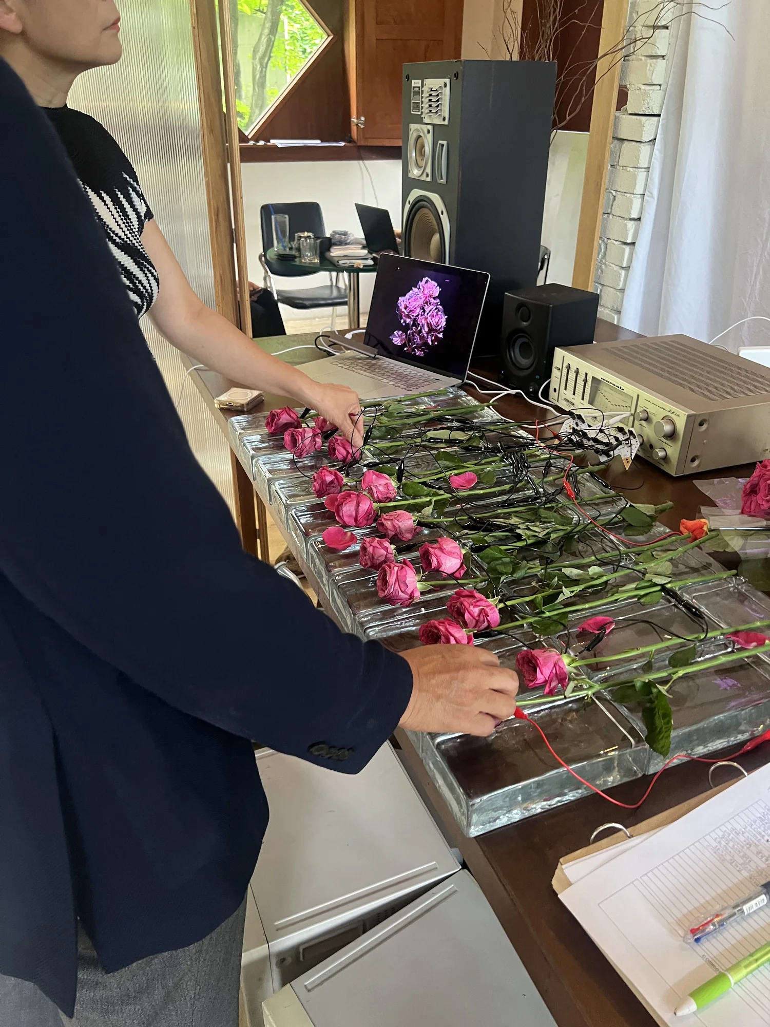 Meta Rose: Mugonggan, Installation documentation