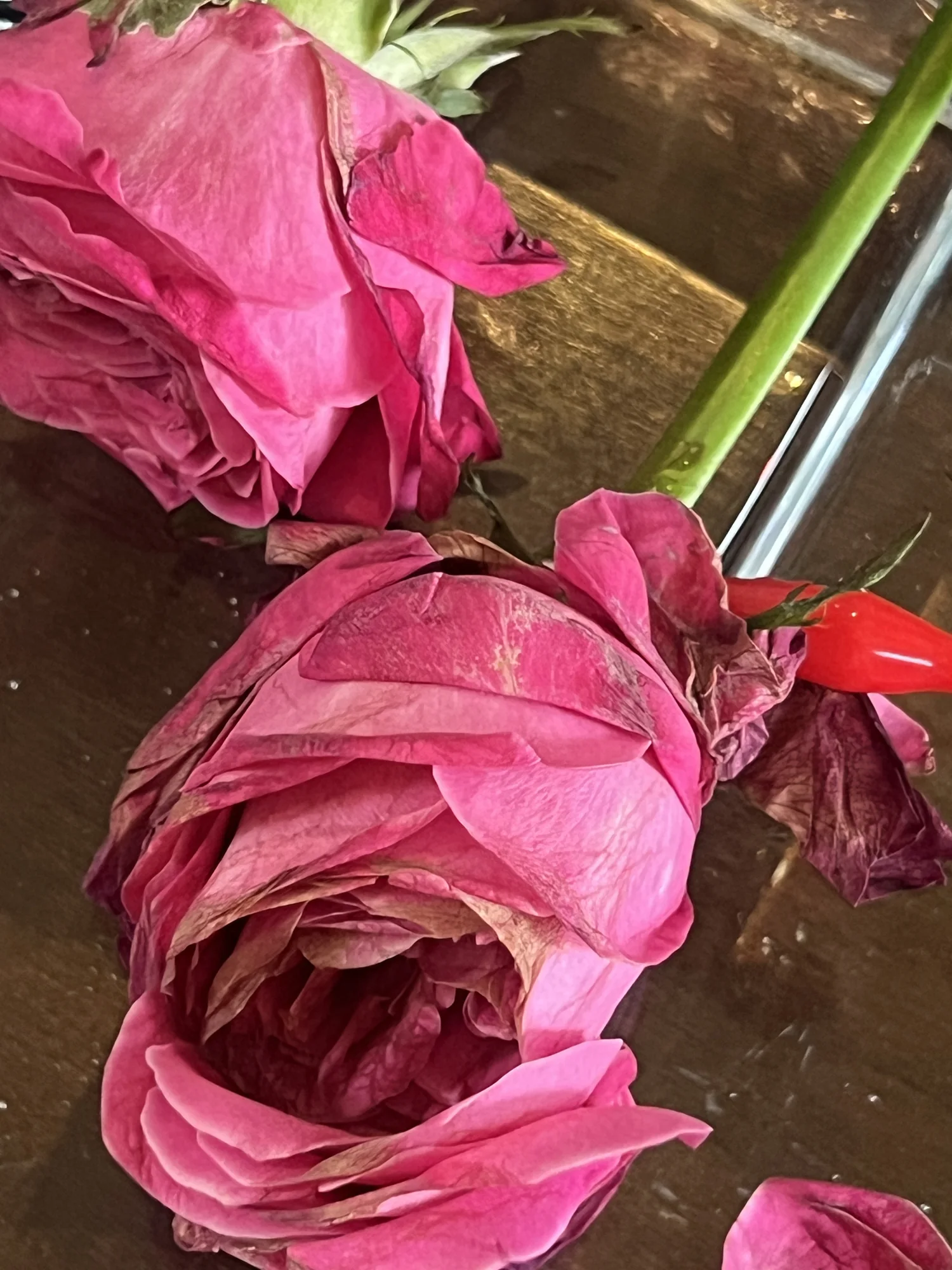 Meta Rose: Mugonggan, Installation documentation