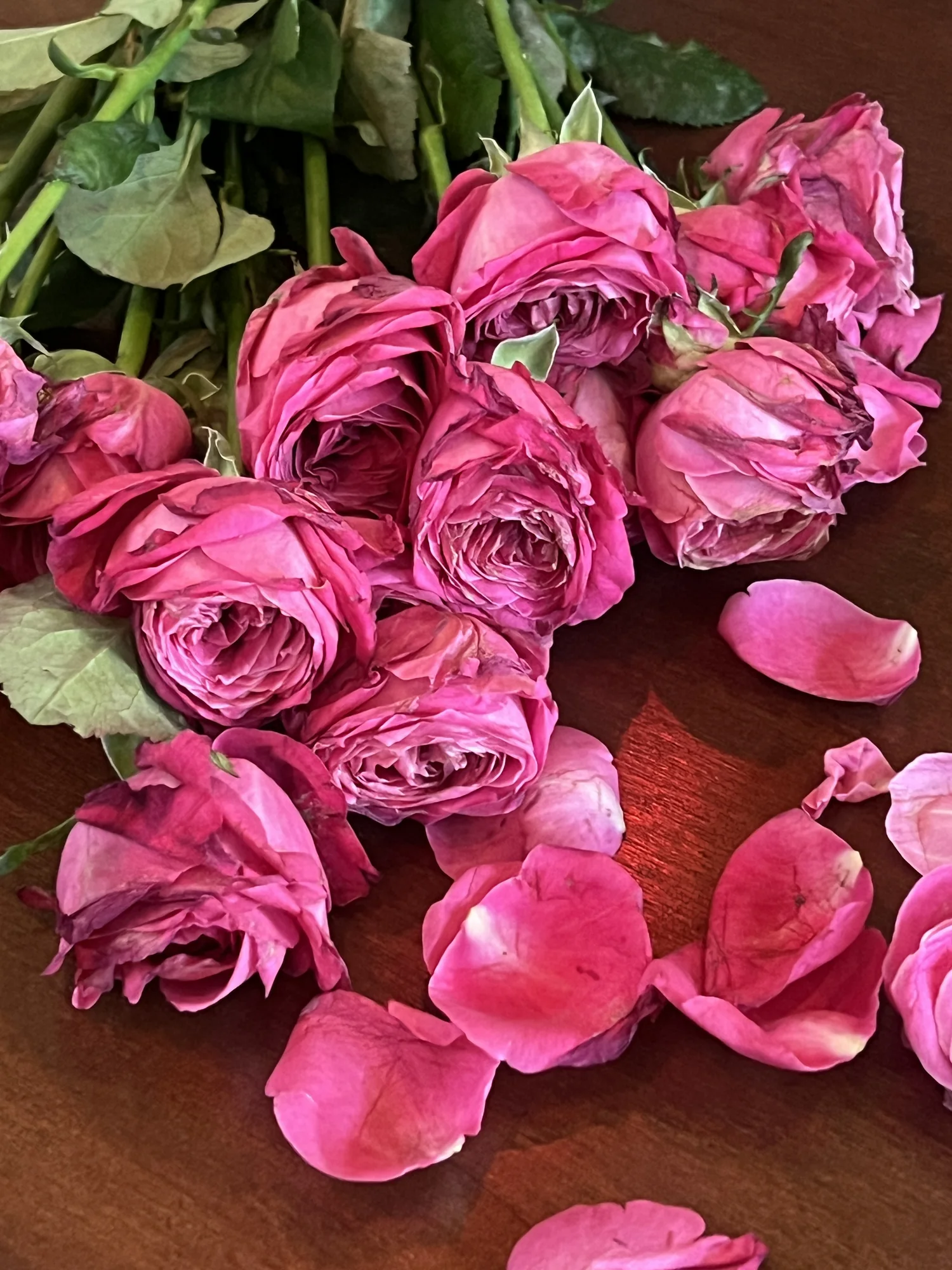Meta Rose: Mugonggan, Installation documentation