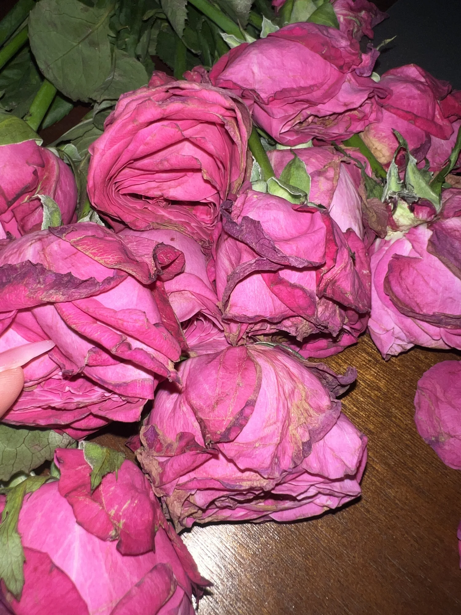 Meta Rose: Mugonggan, Installation documentation