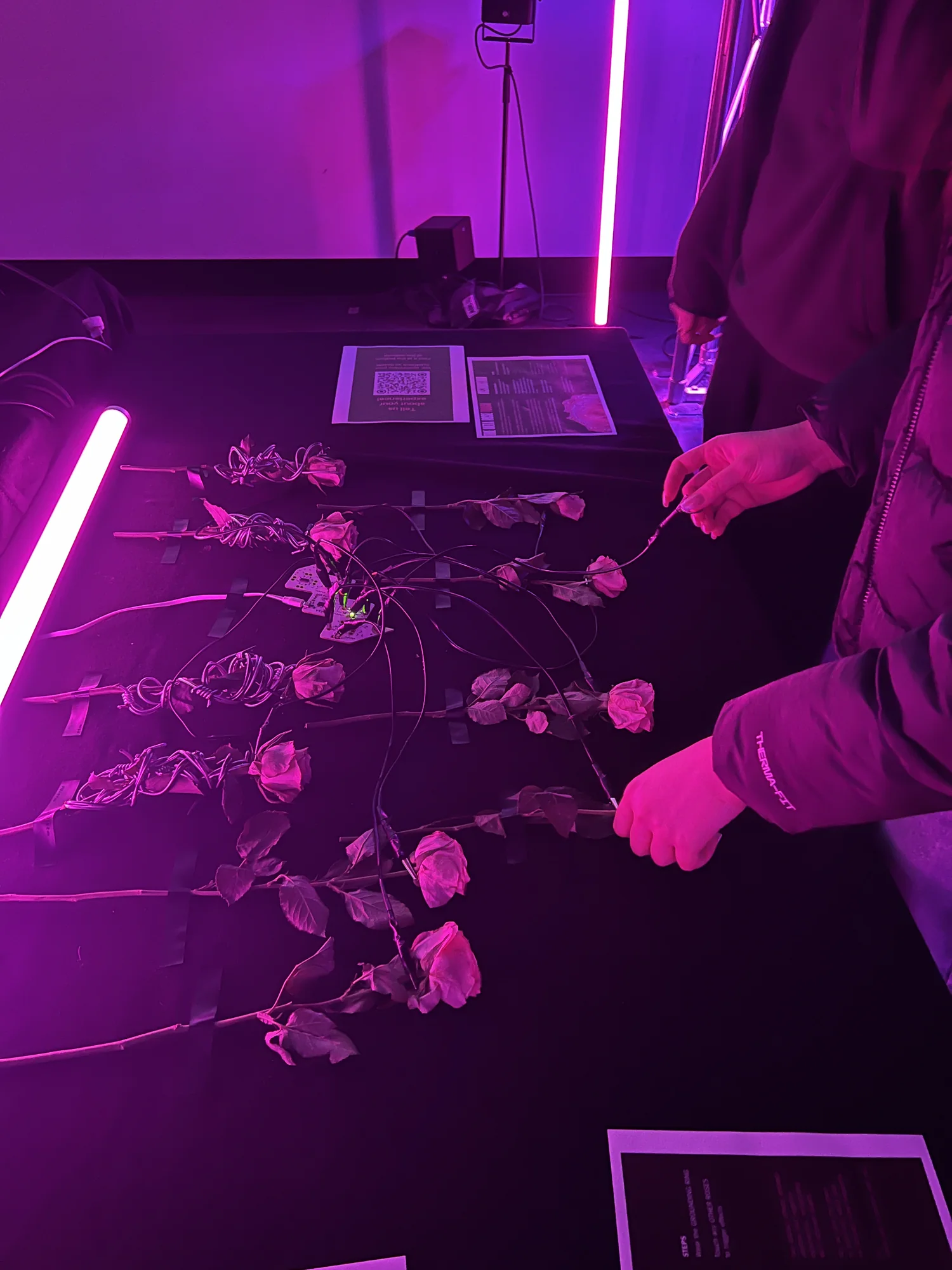 Meta Rose: Origin — Installation documentation