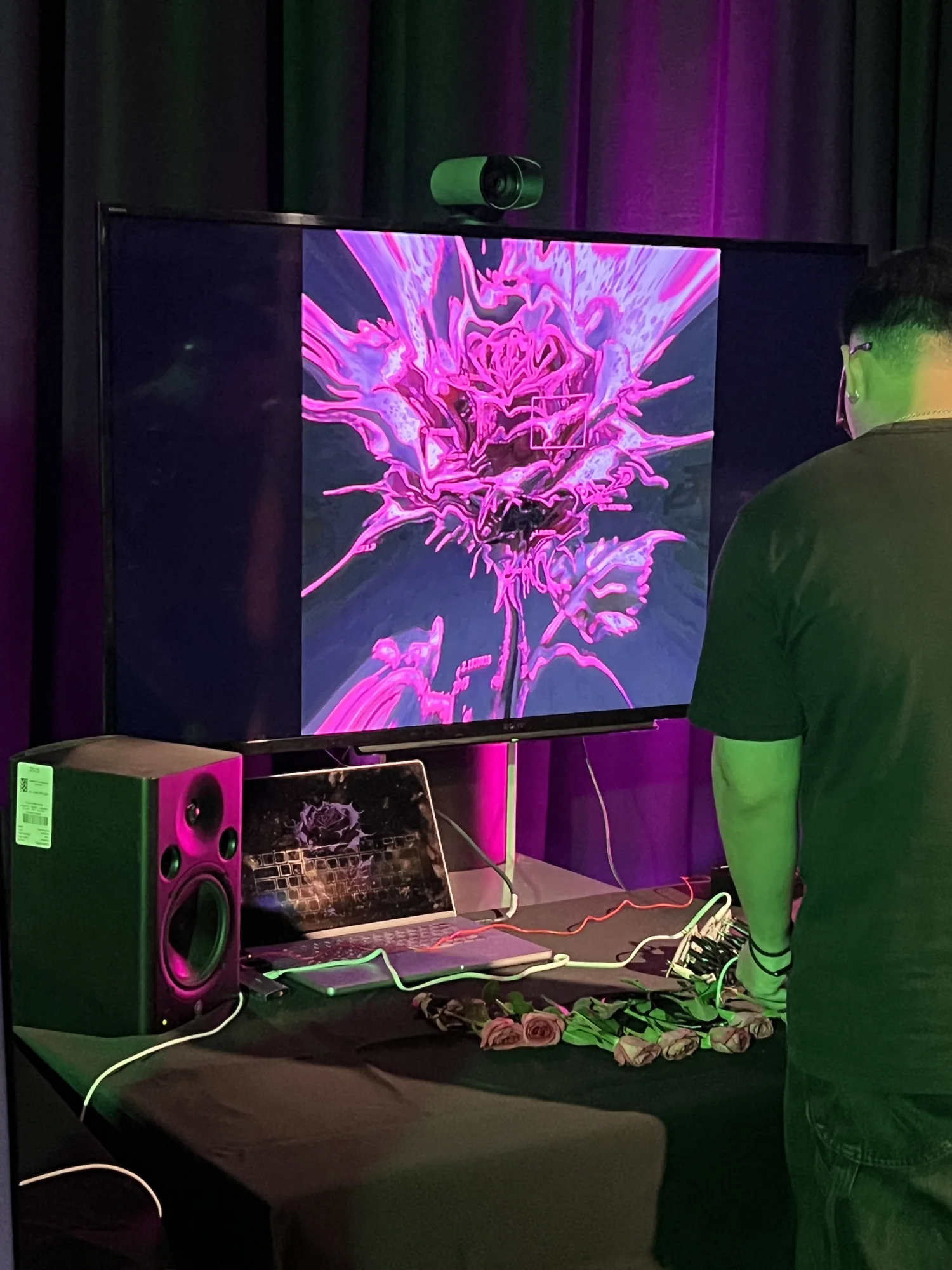Meta Rose: Origin — Installation documentation