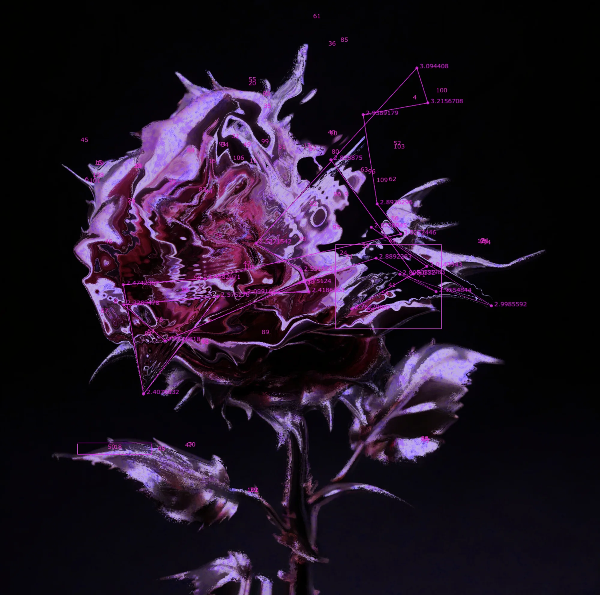 Meta Rose: Origin — Installation documentation