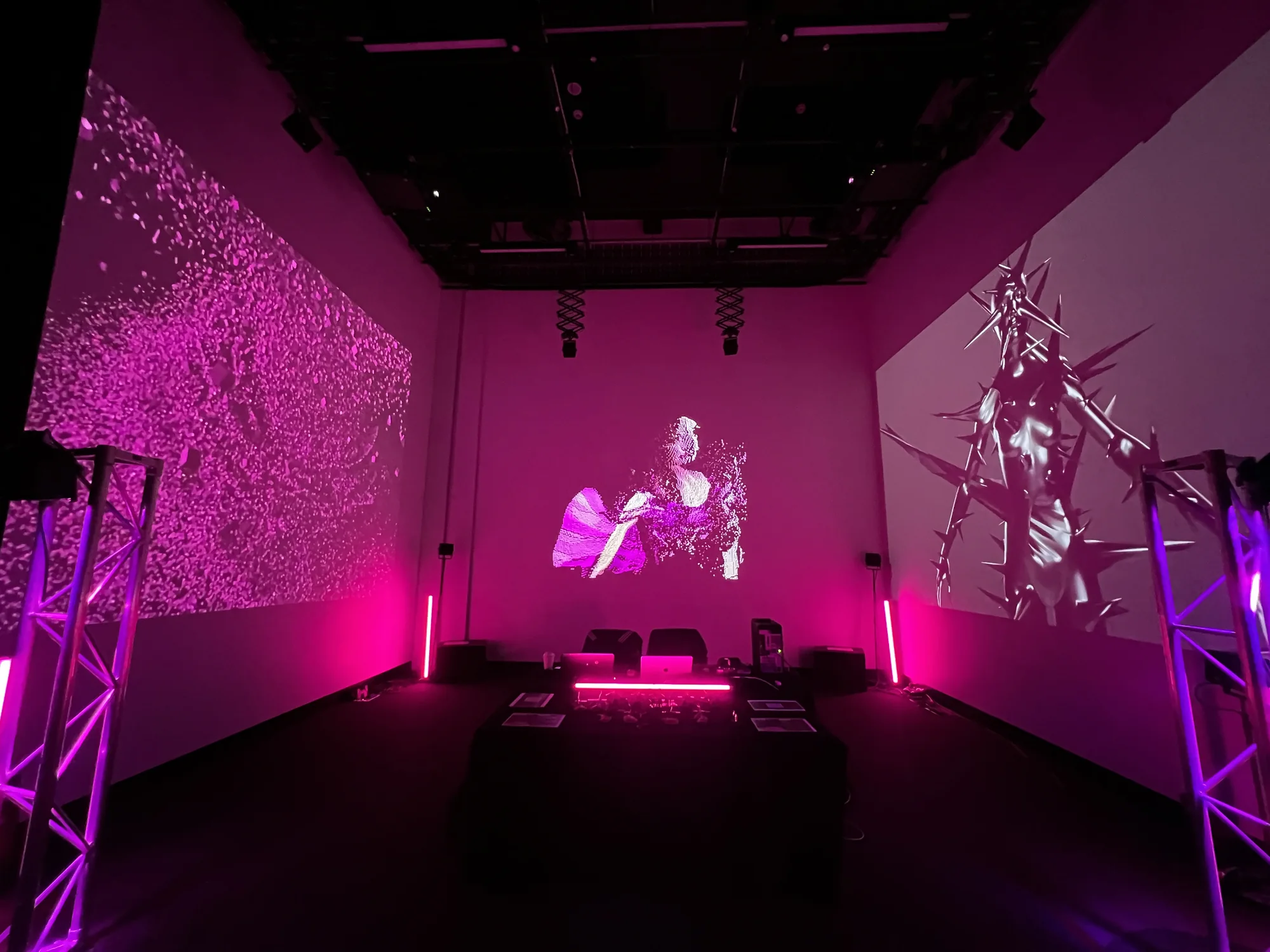 Meta Rose: Origin — Installation view