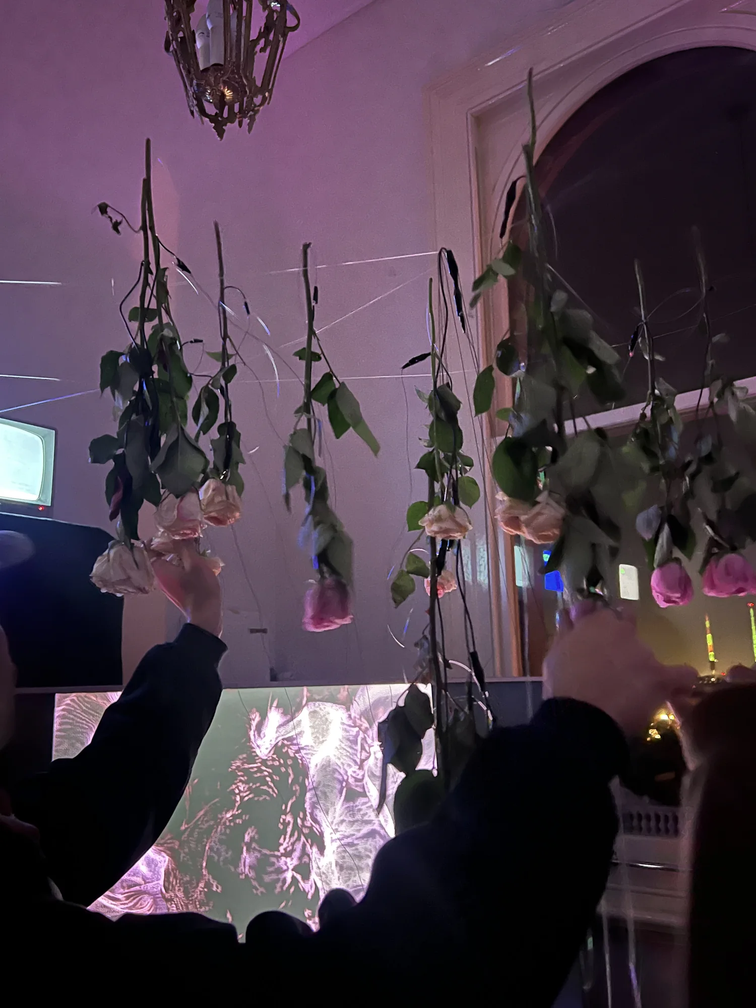 The Meta Rose: Shared Resonance, Installation documentation