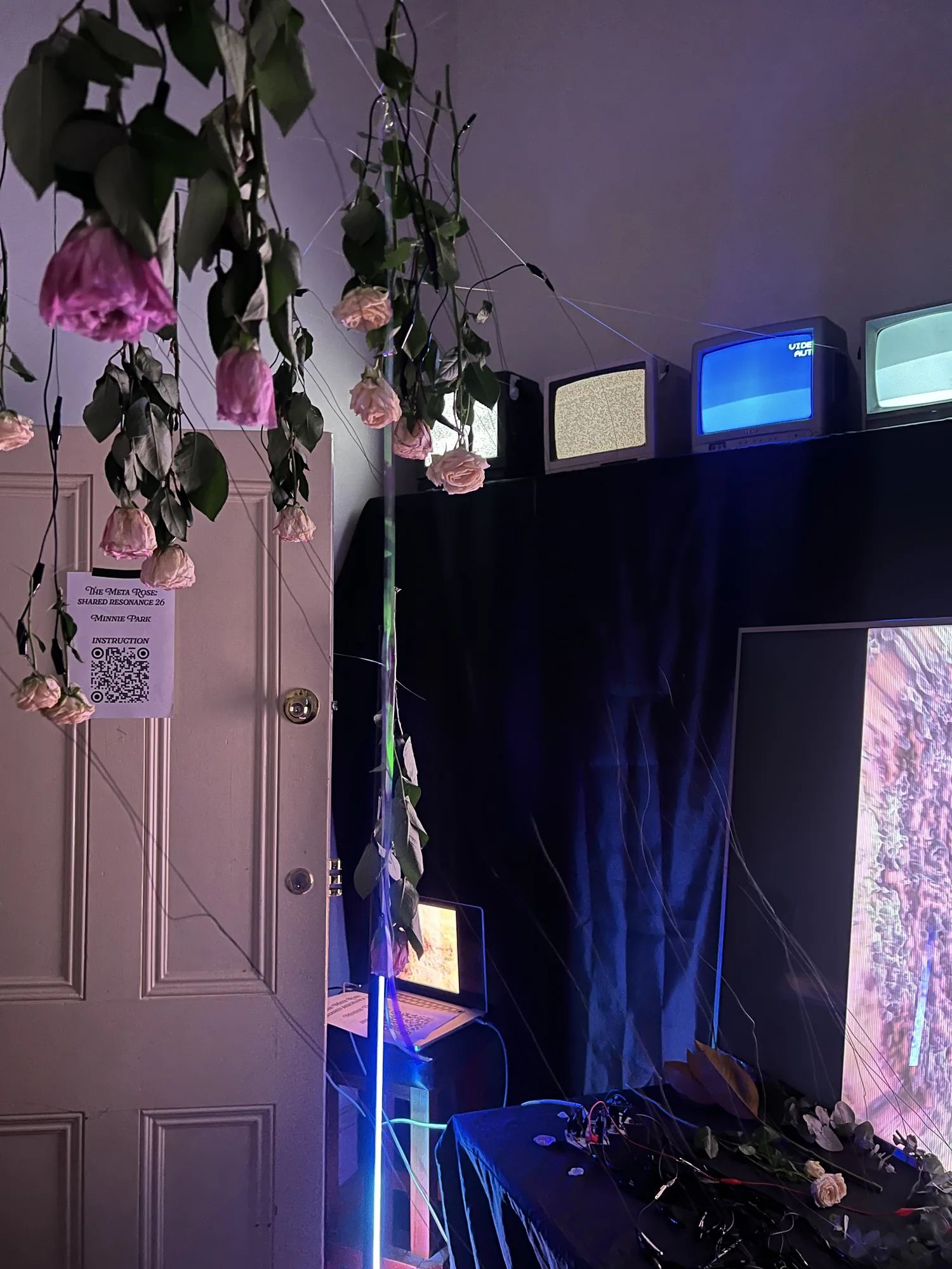 The Meta Rose: Shared Resonance, Installation documentation