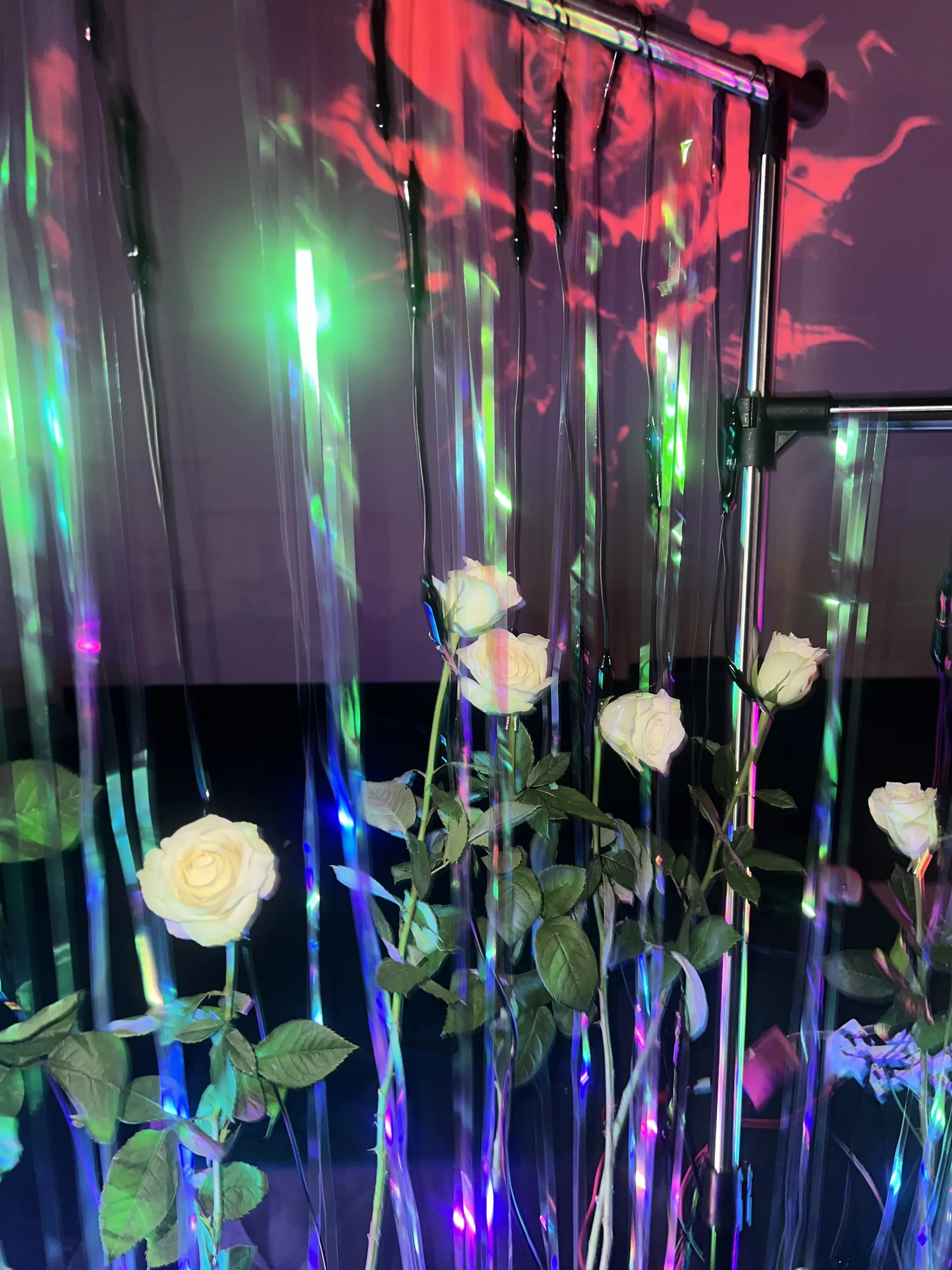The Meta Kibun Project — Installation documentation
